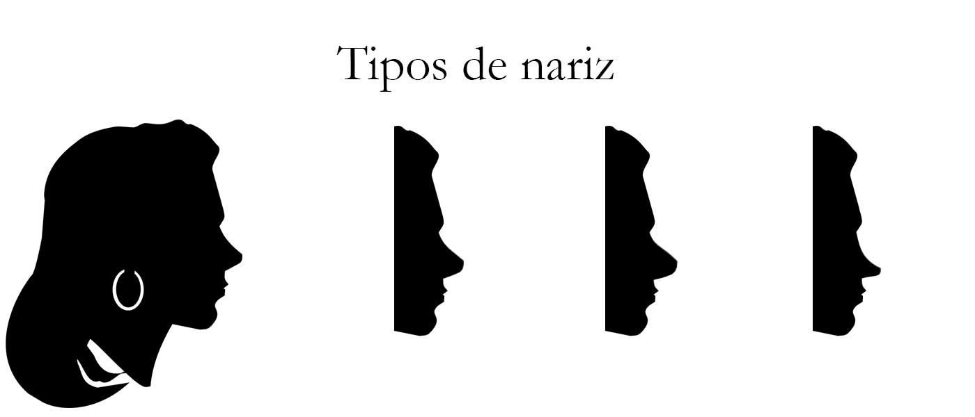 Tipos de nariz